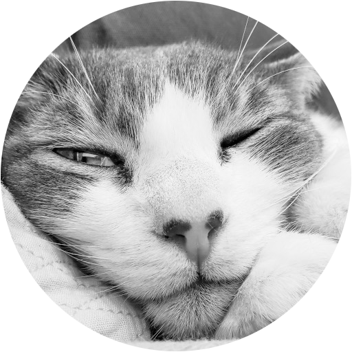favicon.ico
